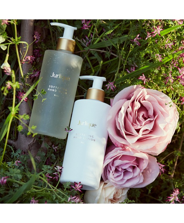 Softening Hand Lotion Rose